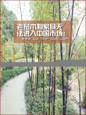 AG亚游