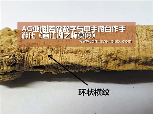 AG真人娱乐