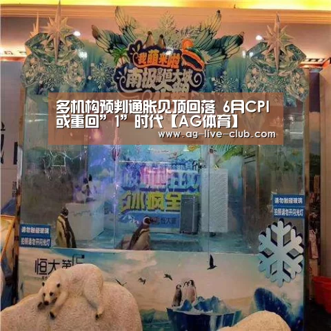 多机构预判通胀见顶回落 6月CPI或重回”1”时代【AG体育】(图3) AG真人