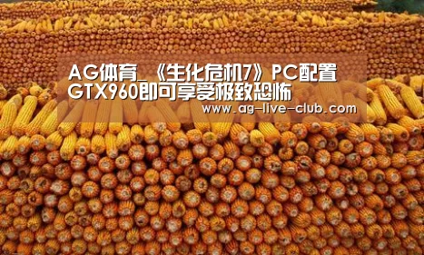 AG体育_《生化危机7》PC配置 GTX960即可享受极致恐怖(图3) AG真人娱乐
